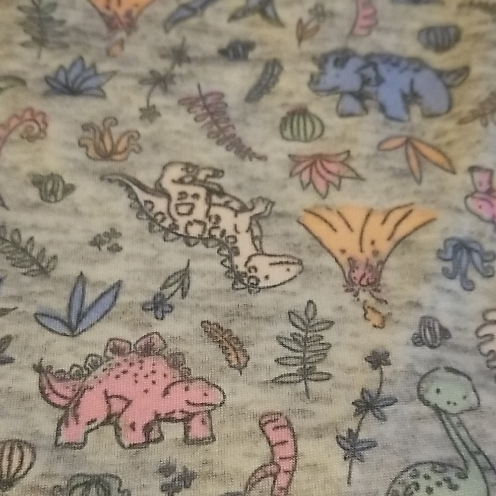 ❣5 for $25 Sale❣ 3-Piece Dinosaur Print Pajamas